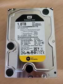 n. 5 Hard disk Western digital RE 1TB