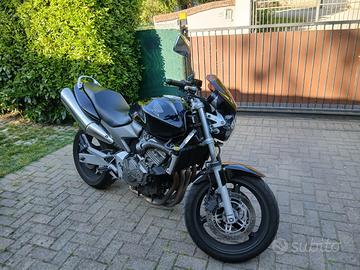 hornet 600