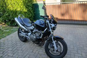 hornet 600