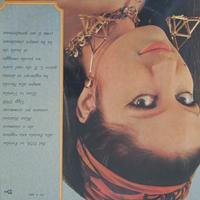 vinile 33giri