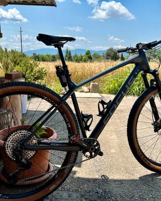 Focus Raven 29er