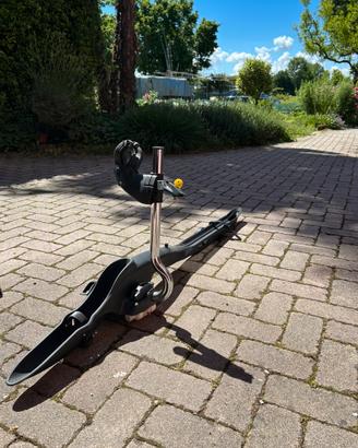 Portabici per auto, Audi