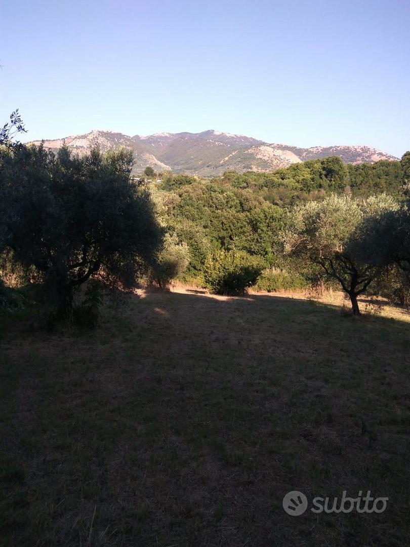 Vendo terreno agricolo - Ansicht 2