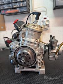 Motore Vortex Rok Gp