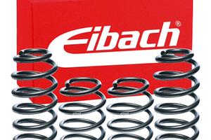 Molle Eibach Audi A4 B8