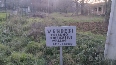 Vendita terreno edificabile