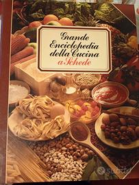 Grande enciclopedia della cucina a schede