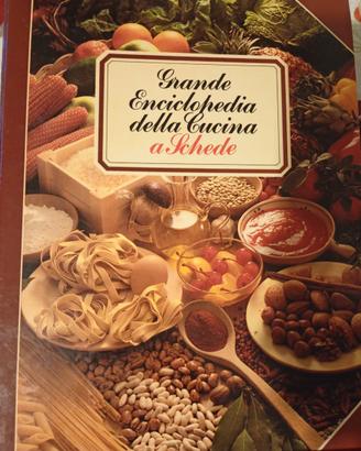 Grande enciclopedia della cucina a schede