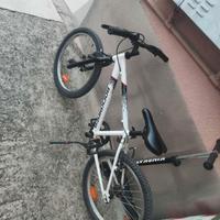 Bici MTB Rock rider st100 solo consegna a Mano