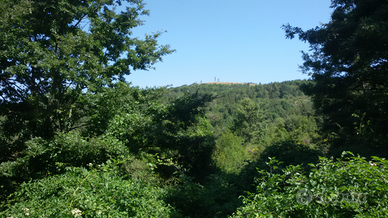 Terreno con 2 ruderi zona Larderello