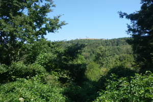 Terreno con 2 ruderi zona Larderello