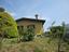 Immagine 14
