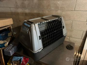 Gabbia per cani