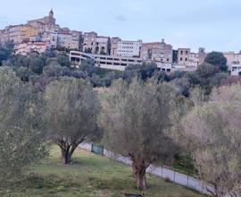 Appartamento luminosissimo