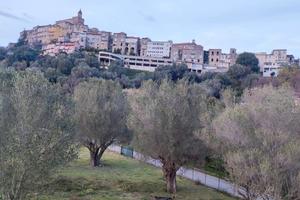 Appartamento luminosissimo