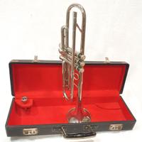 Tromba con custodia