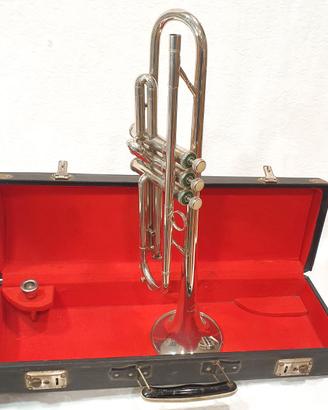 Tromba con custodia