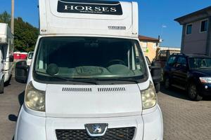 Van trasporto cavalli