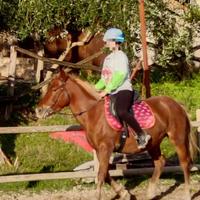 Pony sportivo