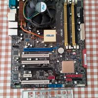 scheda madre asus