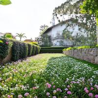Magrè: Grande unità abitativa con giardino