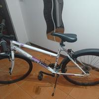 Bici da ragazza/donna
