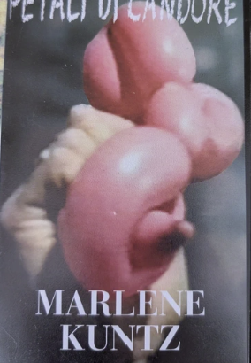 VHS introvabileMarlene Kuntz-Petali di Candore