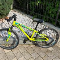 Mountain bike focus raven