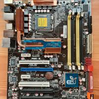 scheda madre Asus p5q-e LGA 775