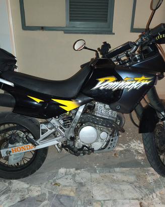 Honda nx 650 dominator