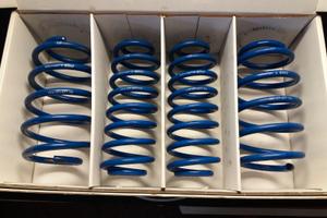 Molle Assetto Eibach Volkswagen Scirocco 137