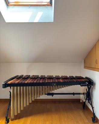 Marimba Adams MSHA43  Solist 4 e 1/3 ottave