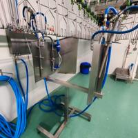 Macello per 1500 polli/ora seminuovo in acciaio