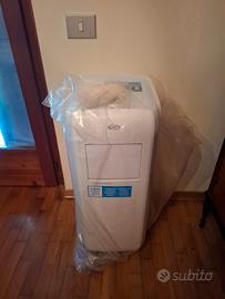 Climatizzatore portatile 