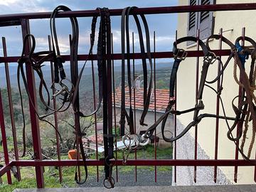 Briglie e finimenti per monta western