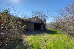 Rudere con terreno - Porto San Giorgio