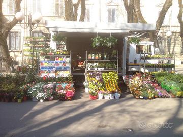 Attività ambulanti piante e fiori