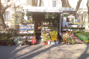 Attività ambulanti piante e fiori