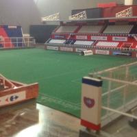 Stadio Subbuteo 