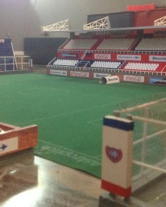 Stadio Subbuteo 