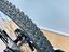 Immagine 9