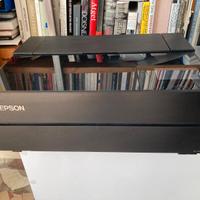 Stampante Epson P-700 P700