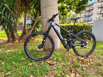 ebike full 