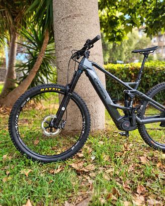 ebike full 