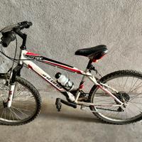 Bicicletta Mountain Bike