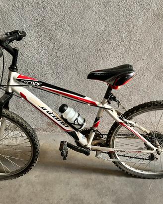 Bicicletta Mountain Bike