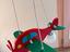 Immagine 1