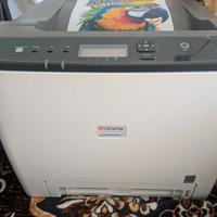 Stampante White Tonner e Sublimazione