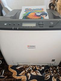 Stampante White Tonner e Sublimazione