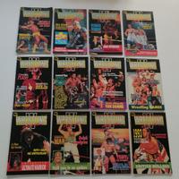 Wrestling Magazine vintage anni 90 riviste italia